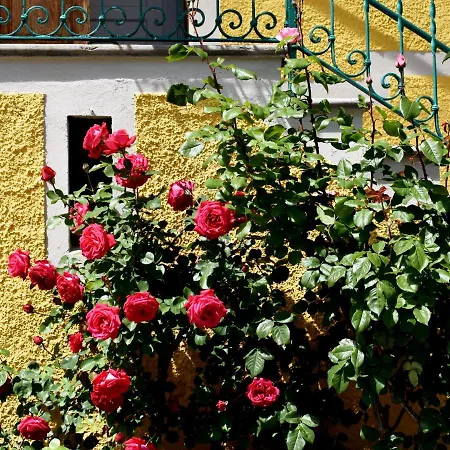 Conca Sandra - Farm On Perledo