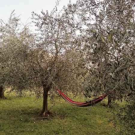 Conca Sandra - Farm On *