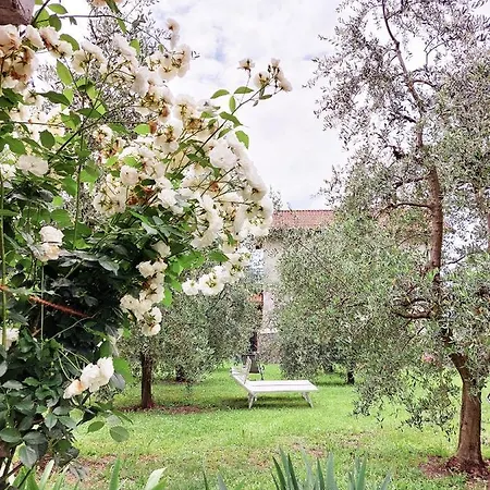 Apartmán Conca Sandra - Farm On Perledo