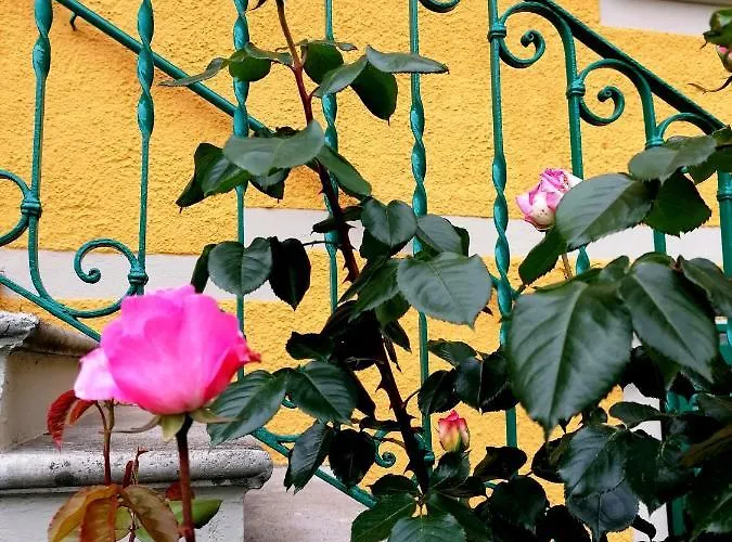 Lägenhet Conca Sandra - Farm On *