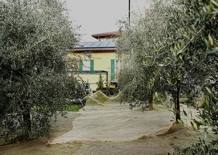 Conca Sandra - Farm On Perledo