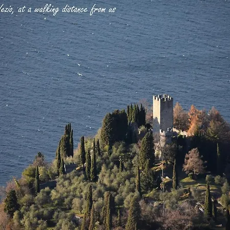 Conca Sandra - Farm On