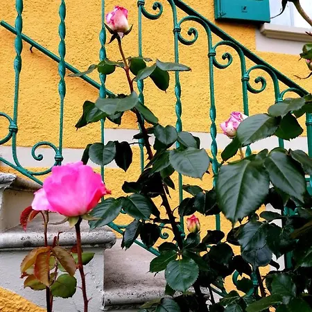 Apartamento Conca Sandra - Farm On *