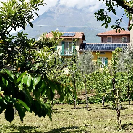 Conca Sandra - Farm On * Perledo