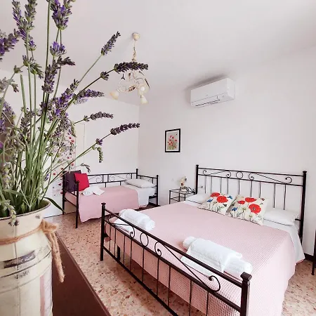 Conca Sandra - Farm On *