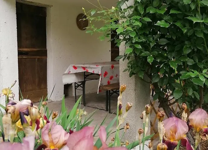 Conca Sandra - Farm On * 페를레도