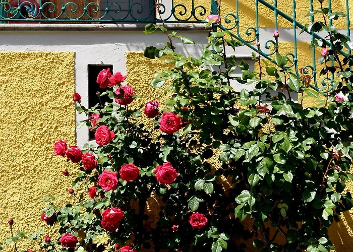 Conca Sandra - Farm On 페를레도