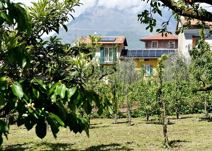 Conca Sandra - Farm On * Perledo