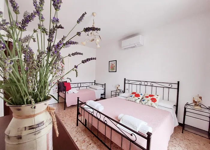 Conca Sandra - Farm On *