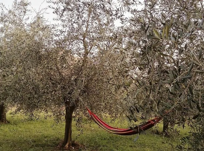 Conca Sandra - Farm On *