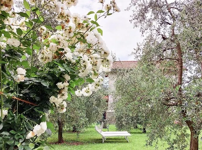 Apartment Conca Sandra - Farm On Perledo