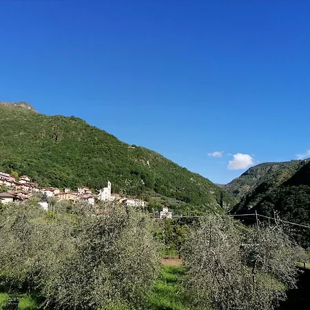 Conca Sandra - Farm On * Перледо