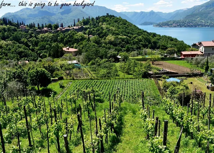 Conca Sandra - Farm On Διαμέρισμα Perledo