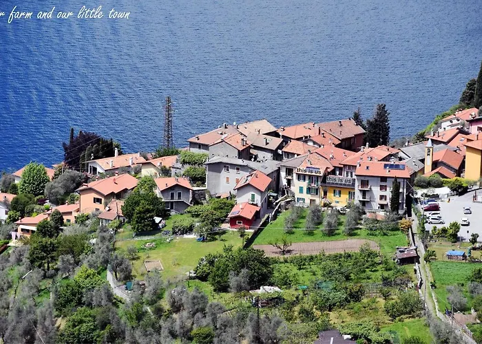 Conca Sandra - Farm On *